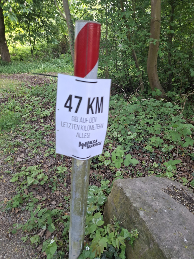 20260502-170537.jpg